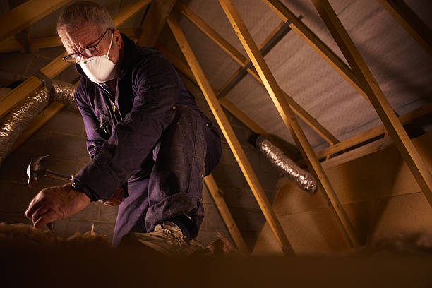 Best Cellulose Insulation  in Gretna, VA